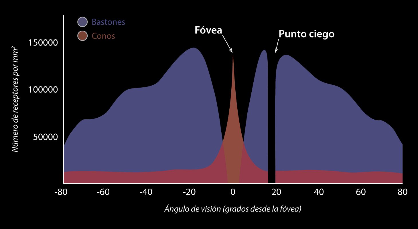 Visión nocturna
