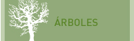 árboles
