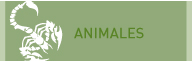 animales