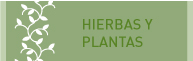 hierbas