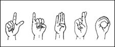 signos de ortografía con los dedos para la palabra LIBRO.