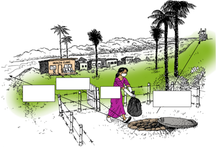 Ilustración que muestra cómo deshacerse del desecho de la vacunación.