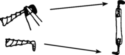 DENT Appendix Page 216-4.png