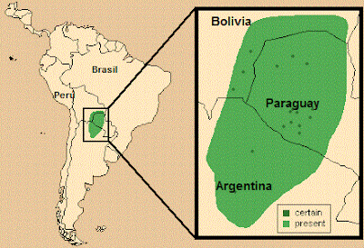 endangered mammals Argentina