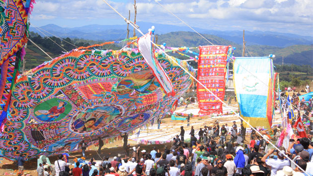 Large, colorful patterned kites as tall as trees stand at the edge of a field as people stand below. Some people are raising the kites aloft with long ropes