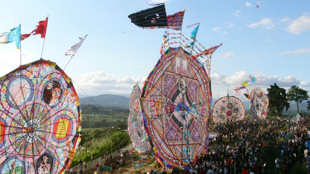 Circular, colorful patterned kites as tall as trees stand at the edge of a field with people below.