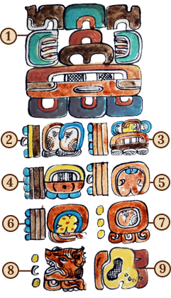 A chart labeling each of the Mayan calendar glyphs