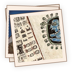 Snapshot of Maya life