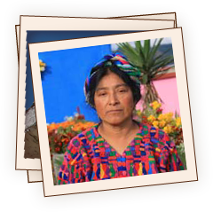 Snapshot of Maya life