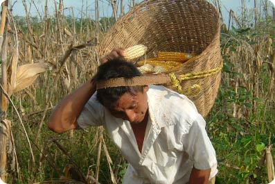 Learn about the Maya sense of time.