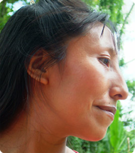 Learn about the Maya.