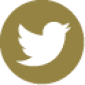 icono compartir en Twitter