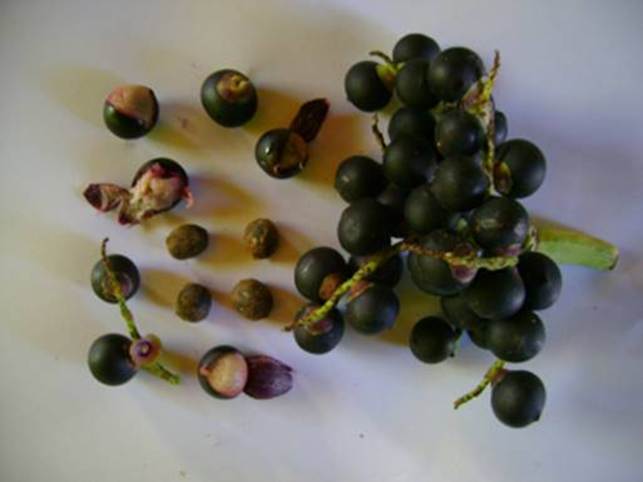image008