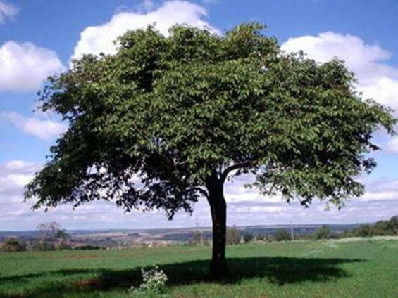 image002
