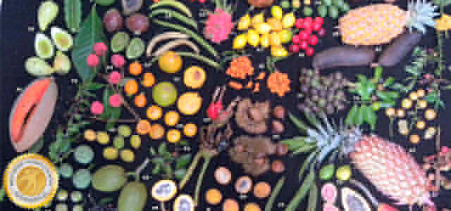 http://www.rankbrasil.com.br/Midia/Recordes/Materias/000812-00.jpg