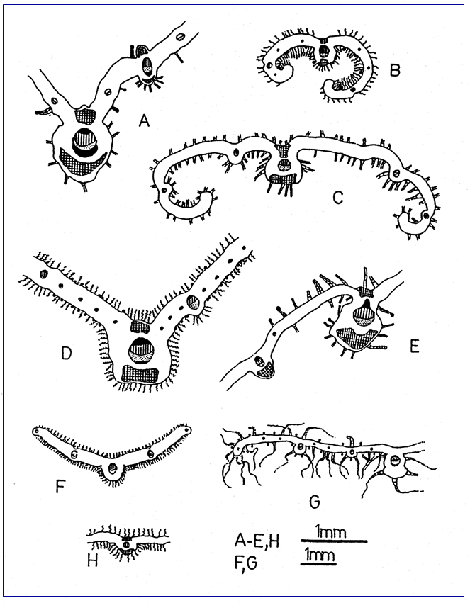 c-biblio010-13-a (197K)
