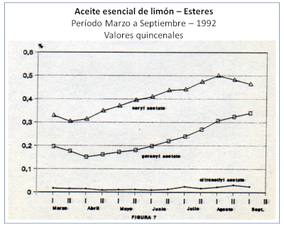 c-biblio013-02-h (182K)